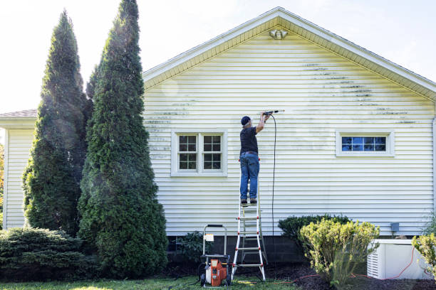 Best Solar Panel Cleaning  in Shenandoah, VA