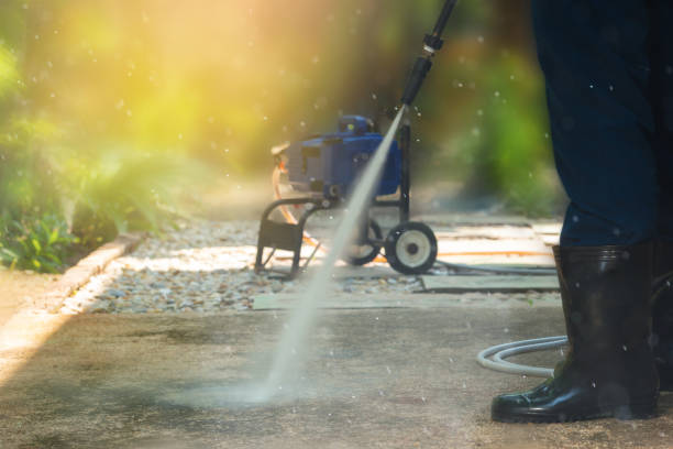 Best Animal Enclosure Cleaning  in Shenandoah, VA